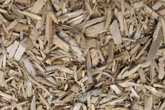 biomass boilers Portnaluchaig